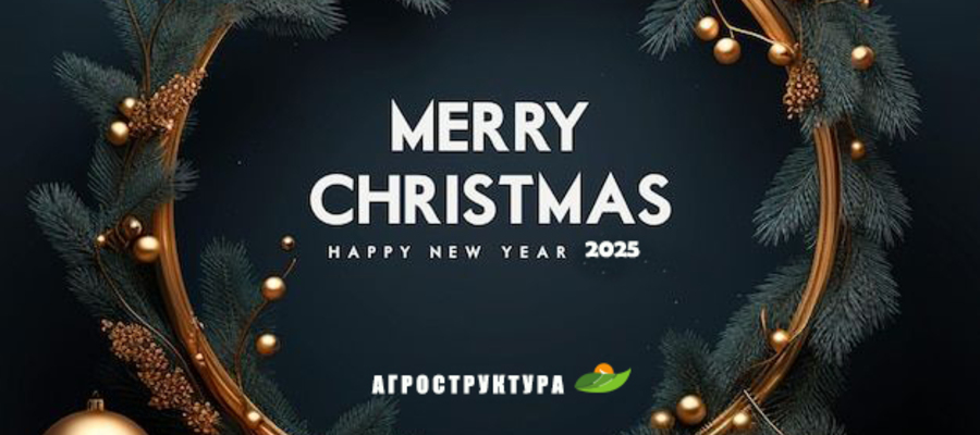 З Різдвом Христовим та Новим роком 2025 / Merry Christmas and Happy New Year 2025